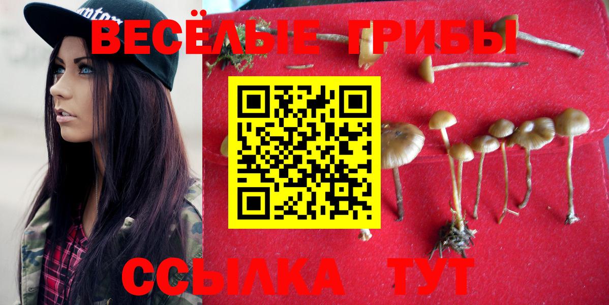 Псилоцибиновые грибы мухоморы Ижевск