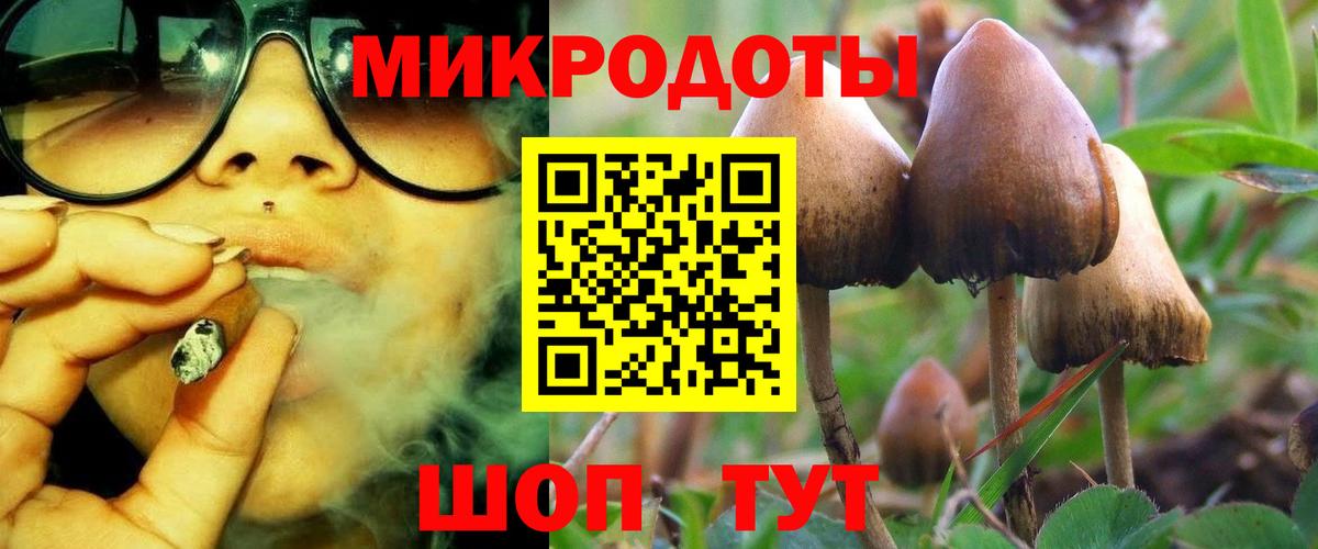 Ижевск  Галлюциногенные грибы MAGIC MUSHROOMS  наркотики  Вход с VPN 
